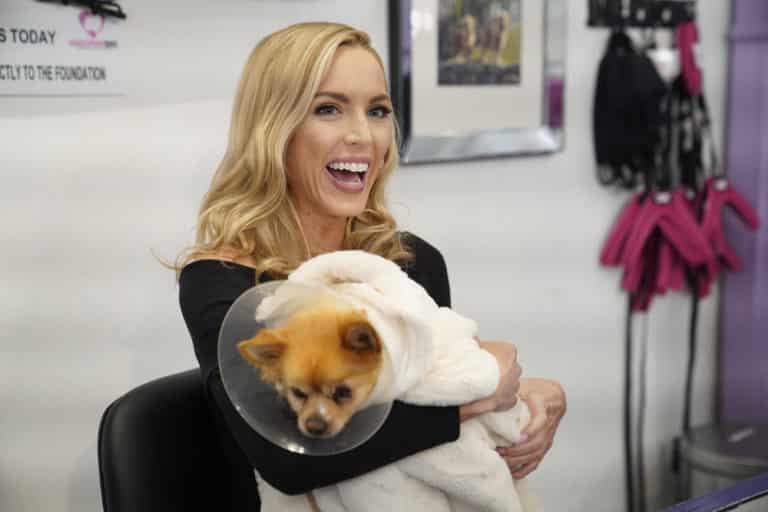 Vanderpump Dogs: Recap for A Paw-Fect Proposal