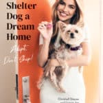 Chrishell Stause Celebrates National Dog Day