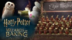 Harry Potter Wizards of Baking Premiere Recap