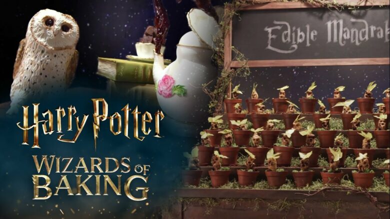 Harry Potter Wizards of Baking Premiere Recap